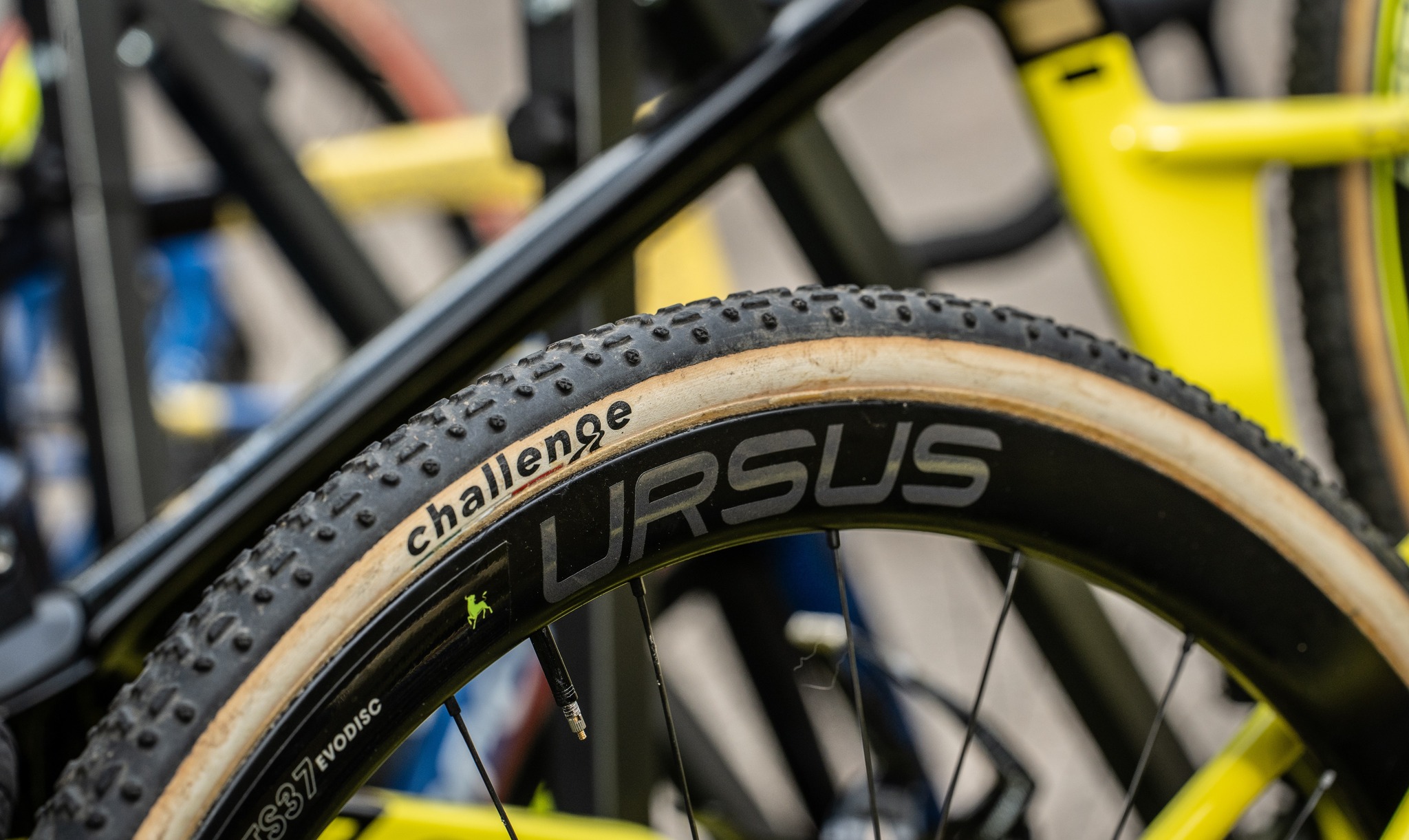 勝利を支えるしなやかさ──チャレンジタイヤを駆るトップシクロ