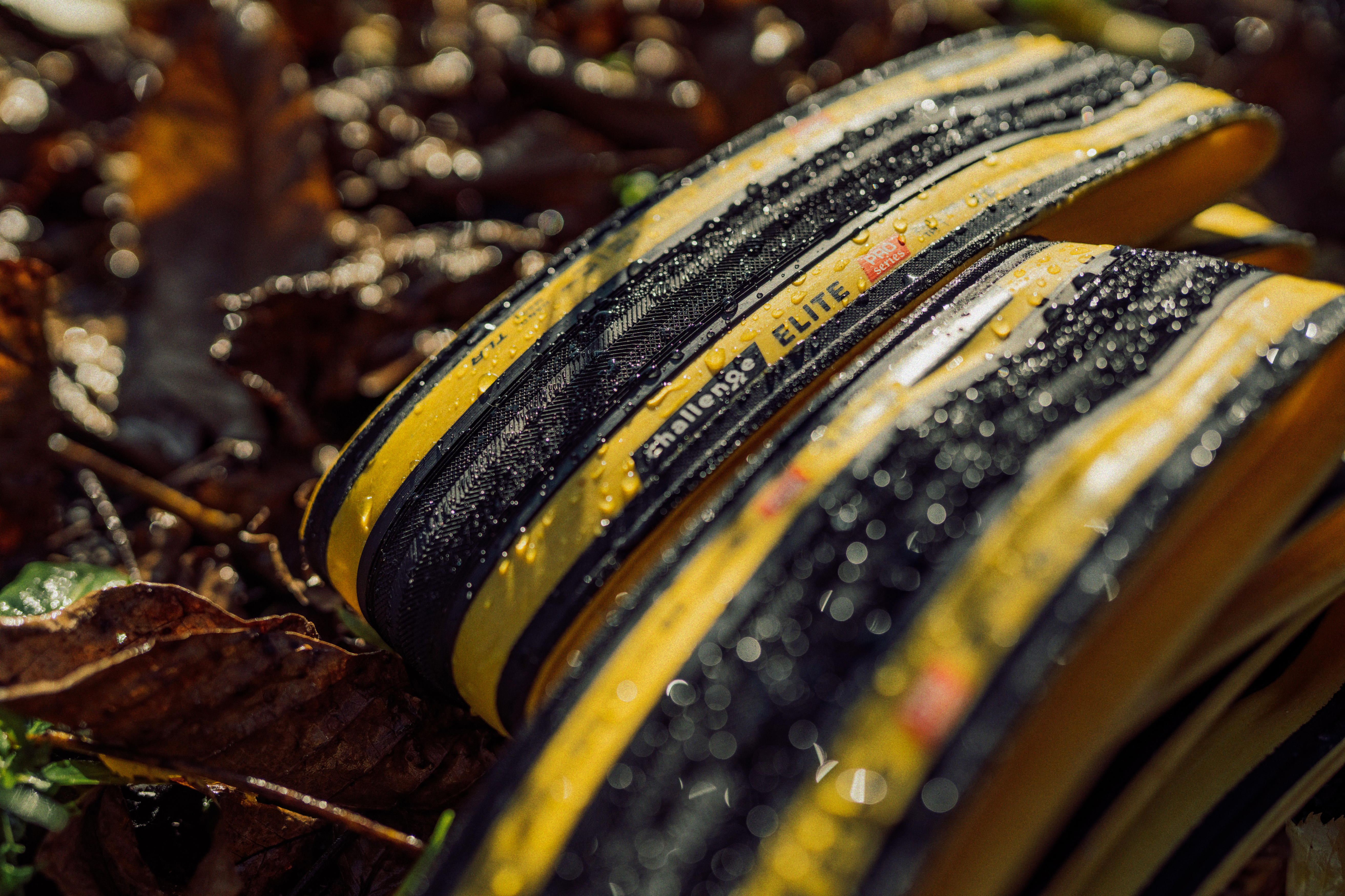 挑戦は次のステージへ─Challenge 2026 ロードモデル登場 Challenge