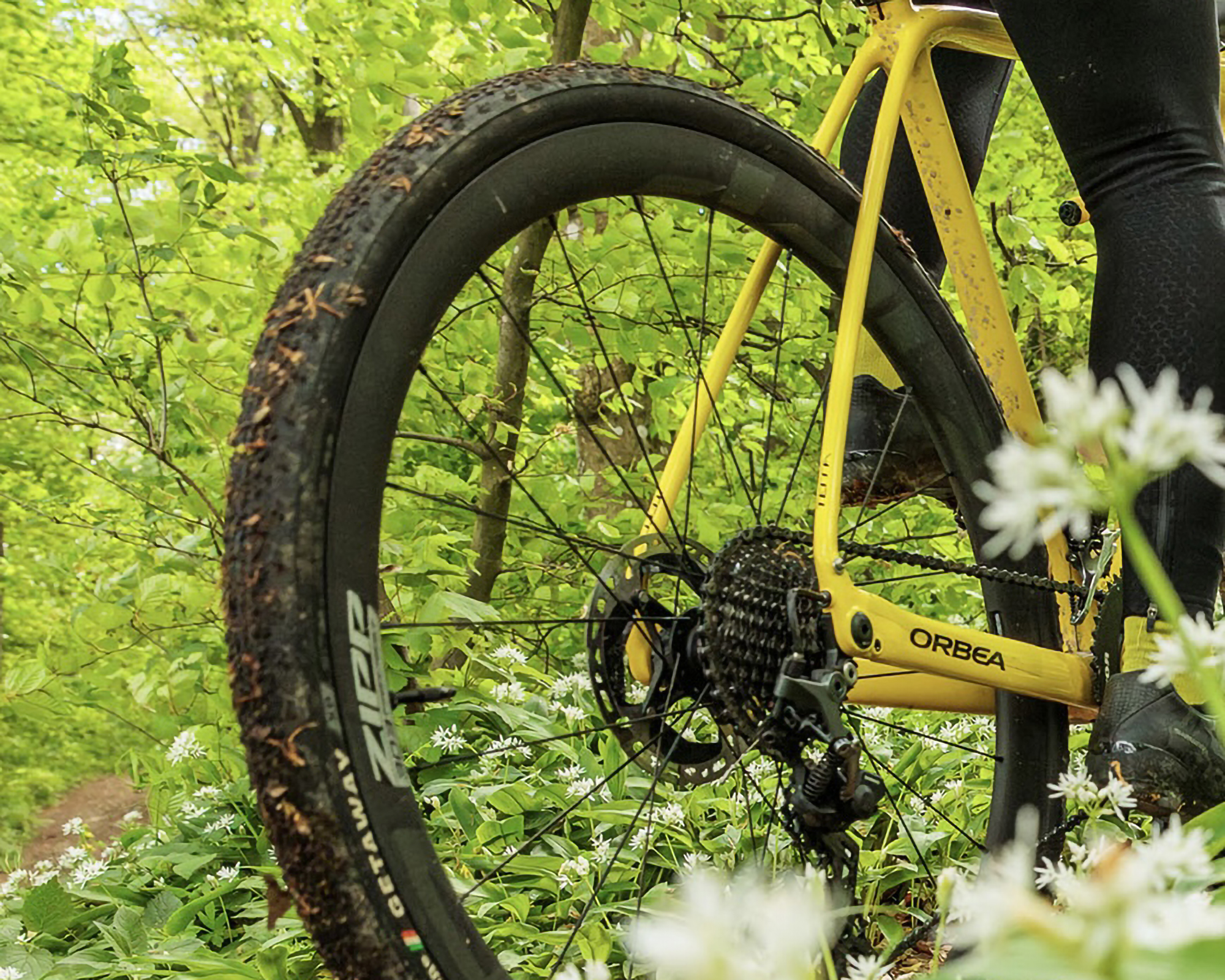 V-TLR GRAVEL GRINDER｜CHALLENGE チャレンジ
